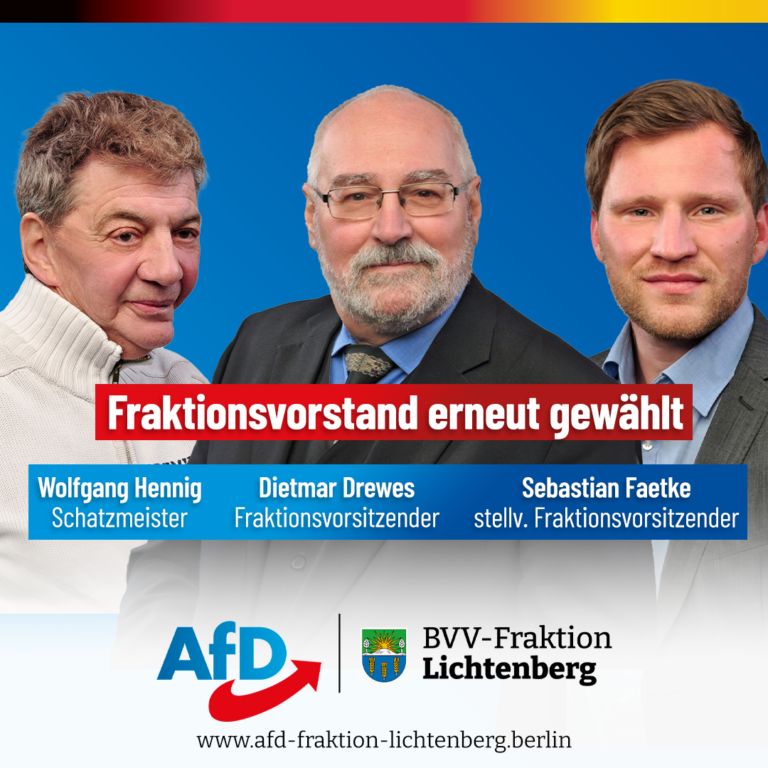 AfD-Fraktionsvorstand BVV Lichtenberg