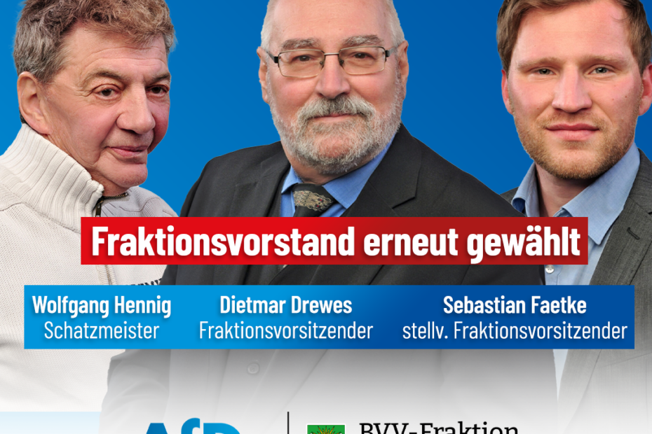 AfD-Fraktionsvorstand BVV Lichtenberg