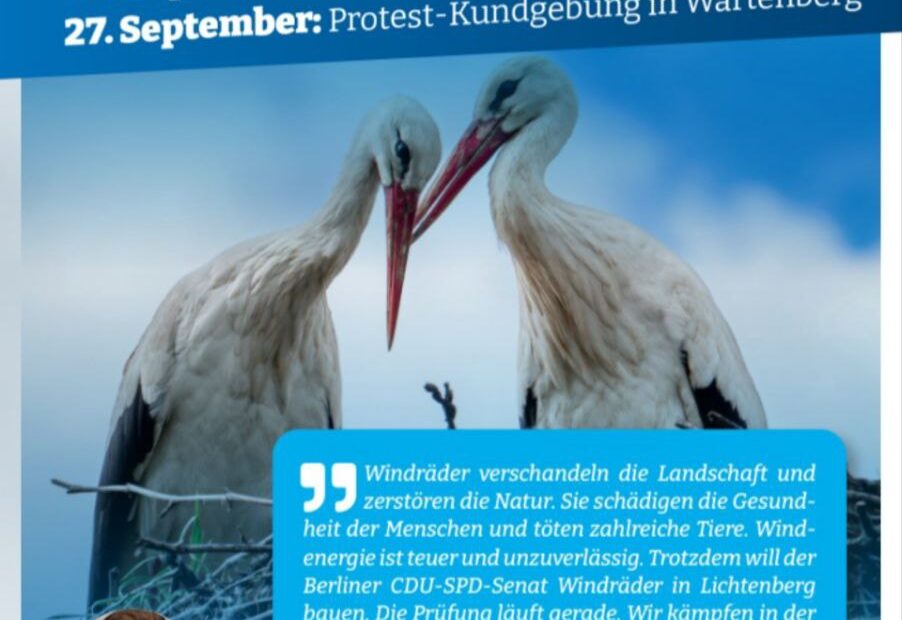 Keine Windräder in Lichtenberg