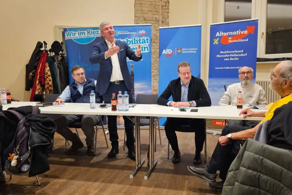 AfD Verkehrspolitik